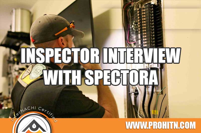 Interview with Spectora Professional Home Inspections • Home